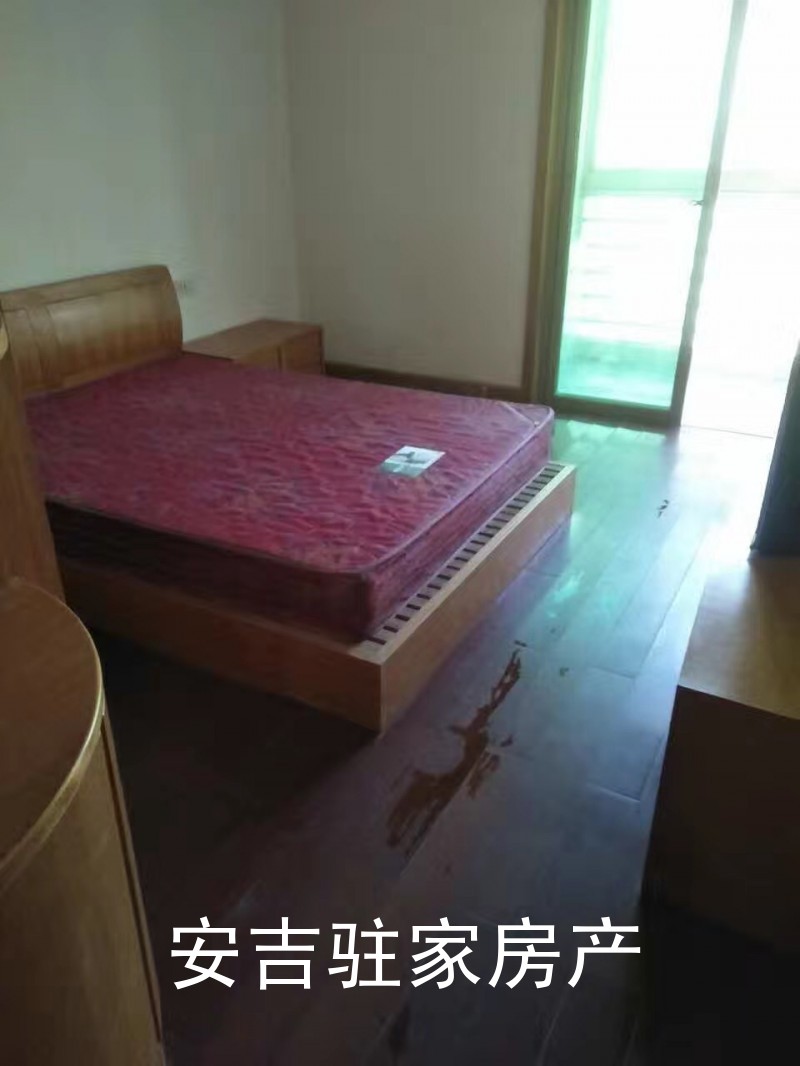 安吉中医院附近通灵路精装