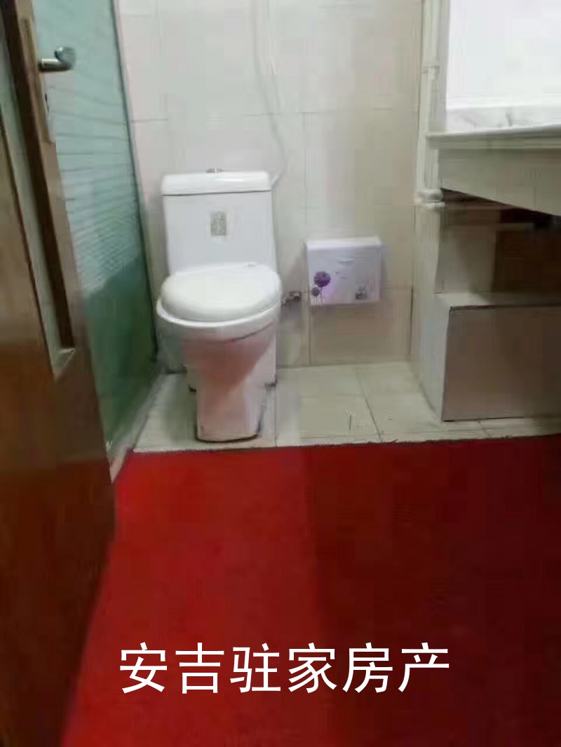 安吉老车站边上山水华庭精装单身公寓