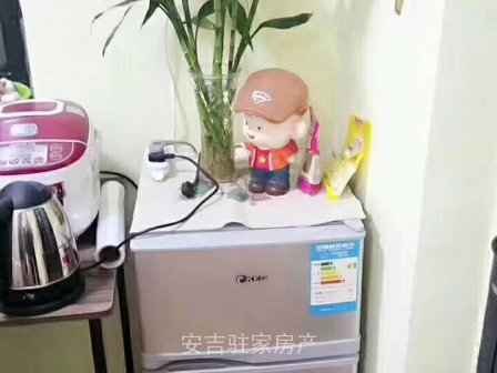 市区中心位置高档小区单身公寓出租带价格实惠