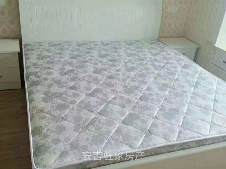 需要市中心豪装朝南带阳台单身公寓的看过来