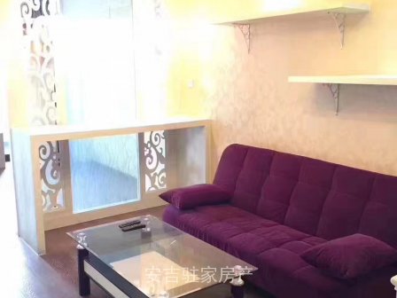 好房子好房子房东急卖市中心浦源悦府朝南单身公寓只要56万一口价