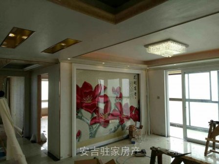 全新豪华装修只卖96万环境也好哦