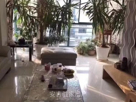 春天尚居旁宁馨花园豪华装修4室2卫只要116万