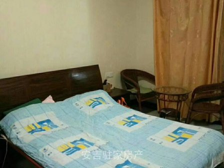 市区中心红枫苑单身公寓朝南蛮干净只要1200