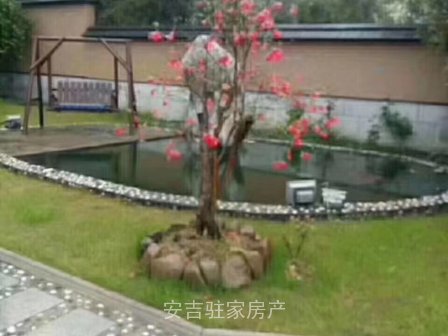 西亩集体土地豪华别墅大面积只售200万