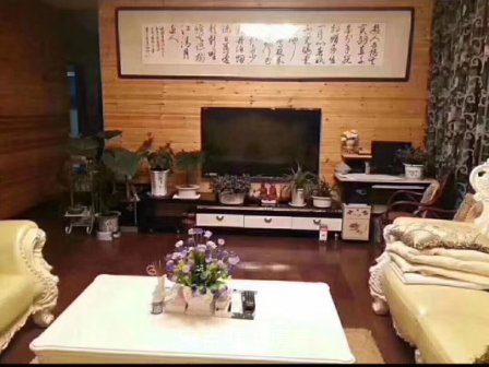 西亩集体土地豪华别墅大面积只售200万