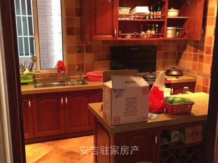 黄墅平山岗集体别墅超豪华装修双车库只卖265万!
