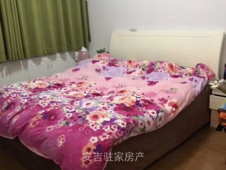 吉祥阁小两室白色温馨装修只要1600电梯房八楼