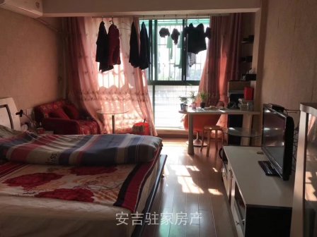 翠柳苑朝南，豪华装修单身公寓只要31万一口价。 
