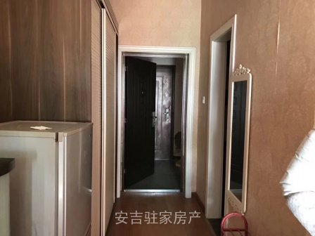 翠柳苑朝南,豪华装修单身公寓只要31万一口价。